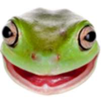 300x300