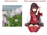 942x699