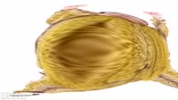 1280x720