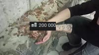 1280x720