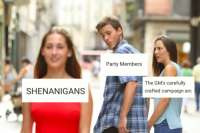 500x334