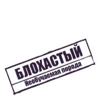 350x350