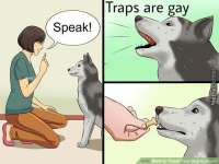 500x375