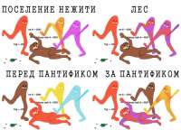 1208x873