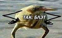 703x438