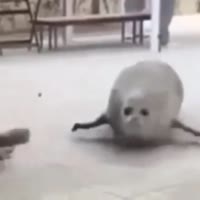 360x360