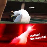 769x768