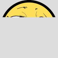 736x736