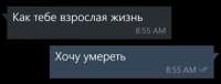 720x277