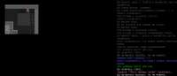 1010x435
