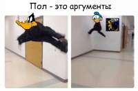 596x396