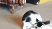 400x225