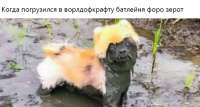 695x374