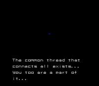 256x224
