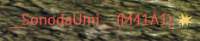 232x48