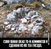 400x387