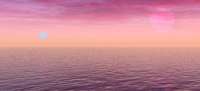 800x365