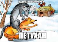 599x439
