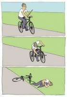 520x739