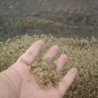1080x1080