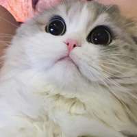 1080x1080