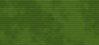 1314x610