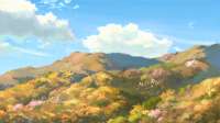1920x1080