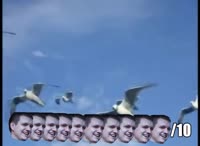 490x360