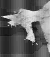 244x279