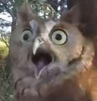 291x299
