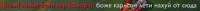 499x28