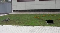 640x360