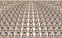 1200x735