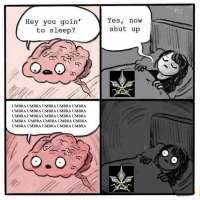 720x720