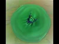 480x360