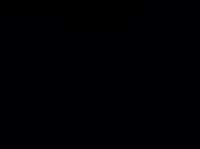 460x344