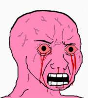 384x422