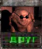 295x338