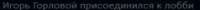 238x13