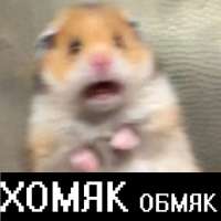 500x500