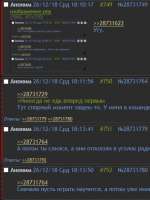 387x516