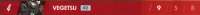 370x29