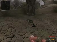 480x360