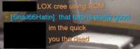 338x119