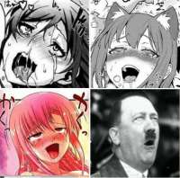 500x497