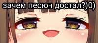 960x431