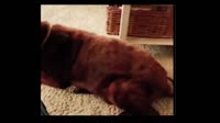 500x281
