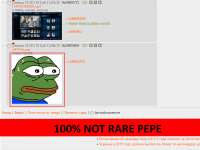 800x600