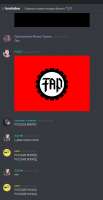 493x952