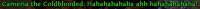 497x24